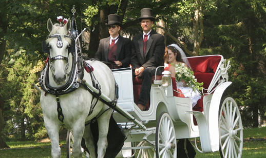 Bride and groom in a horse-drawn carriage