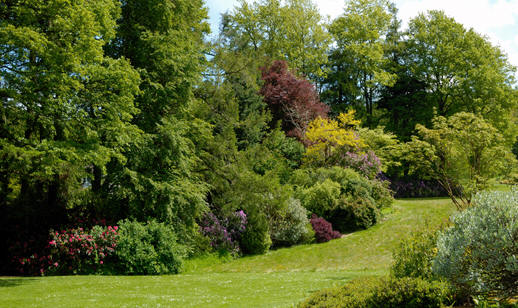 Flowering gardens at Oak Hill